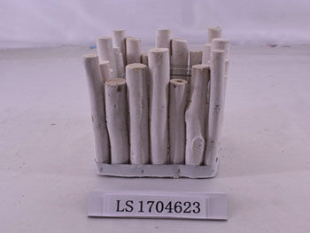 LS1704623