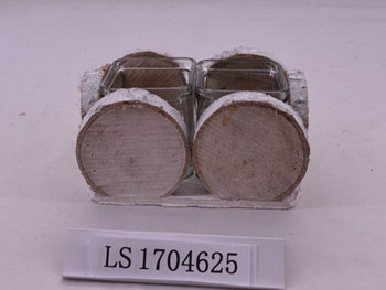 LS1704625