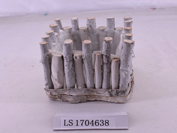 LS1704638