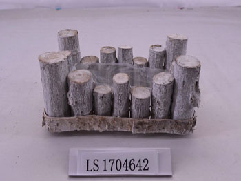 LS1704642