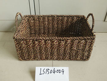 LS1504009