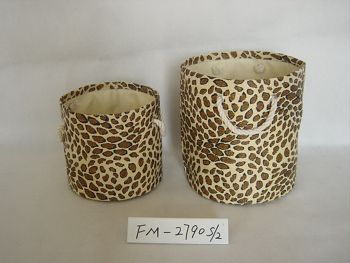 DSC08798