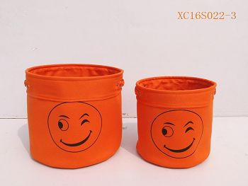 XC16S022 3