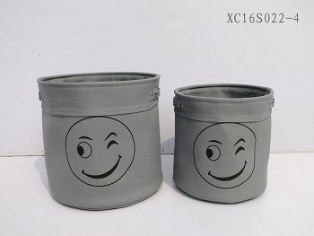 XC16S022