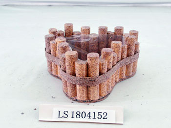 LS1804152