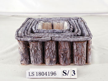 LS1804196