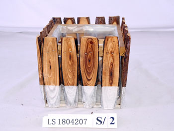 LS1804207