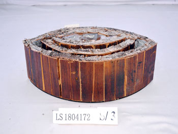 LS1804172