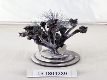 LS1804239
