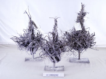 LS1804232