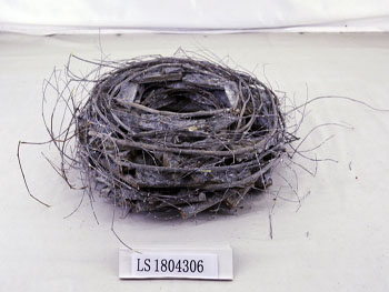 LS1804306