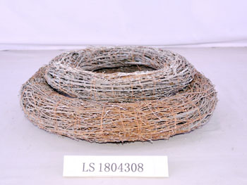 LS1804308