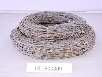 LS1804309