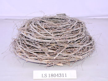 LS1804311