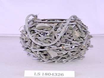 LS1804326