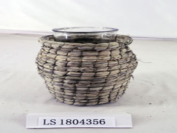 LS1804356