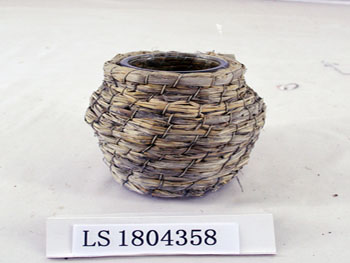 LS1804358