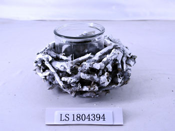 LS1804394