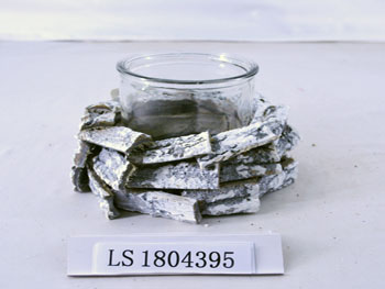 LS1804395