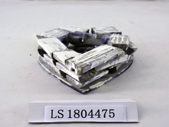 LS1804475
