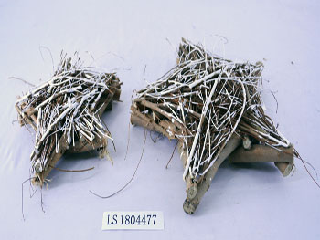 LS1804477
