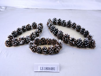 LS1804481
