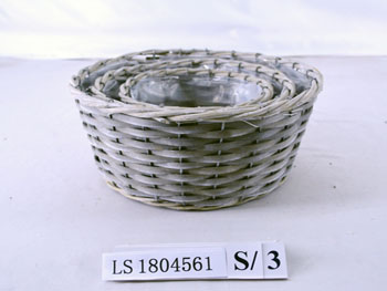 LS1804561