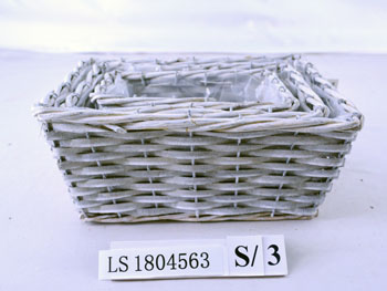 LS1804563