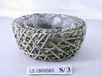 LS1804565