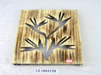 LS1804728