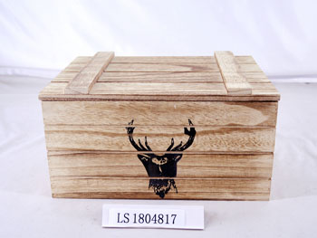 LS1804817