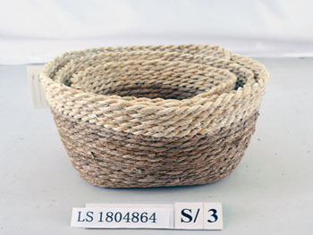 LS1804864
