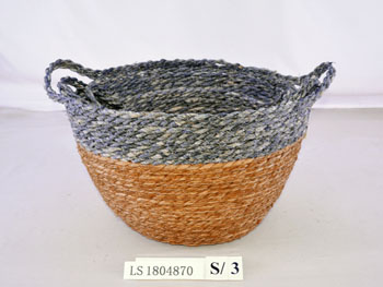LS1804870
